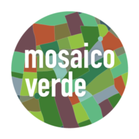 logo_linkedin_mosaicoverde2