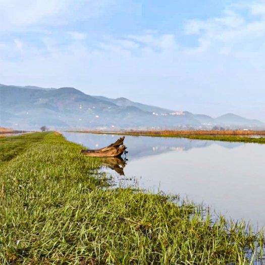 mosaicoverde_rinaturalizzazione_lago_bientina